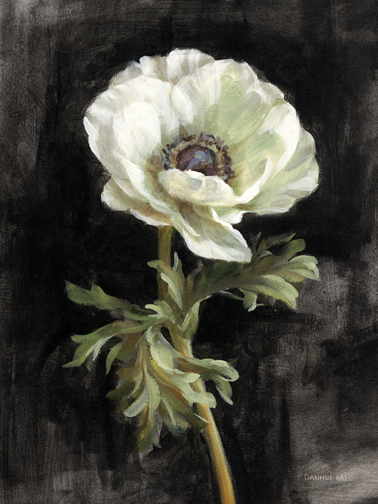 Reproduction of Anemone on Black by Danhui Nai - Wall Decor Art