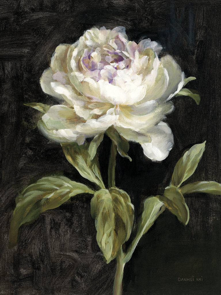 Reproduction of Peony on Black by Danhui Nai - Wall Decor Art