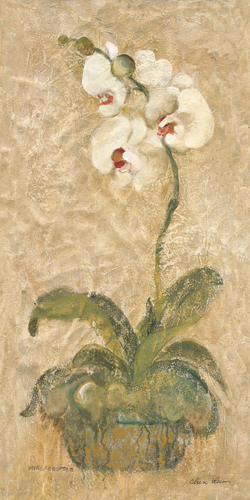 Reproduction of Phalaenopsis by Cheri Blum - Wall Decor Art