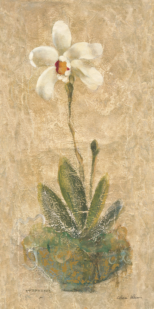 Reproduction of Sympodial by Cheri Blum - Wall Decor Art