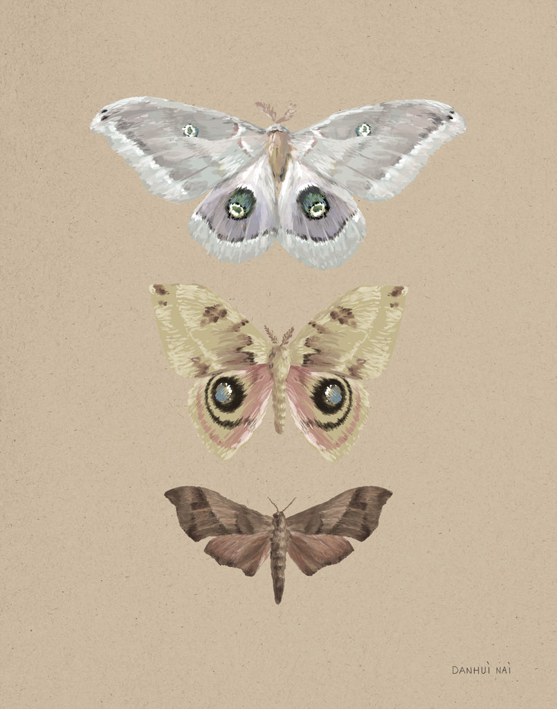 Reproduction of Beauty of the Forest II Neutral by Danhui Nai - Wall Decor Art