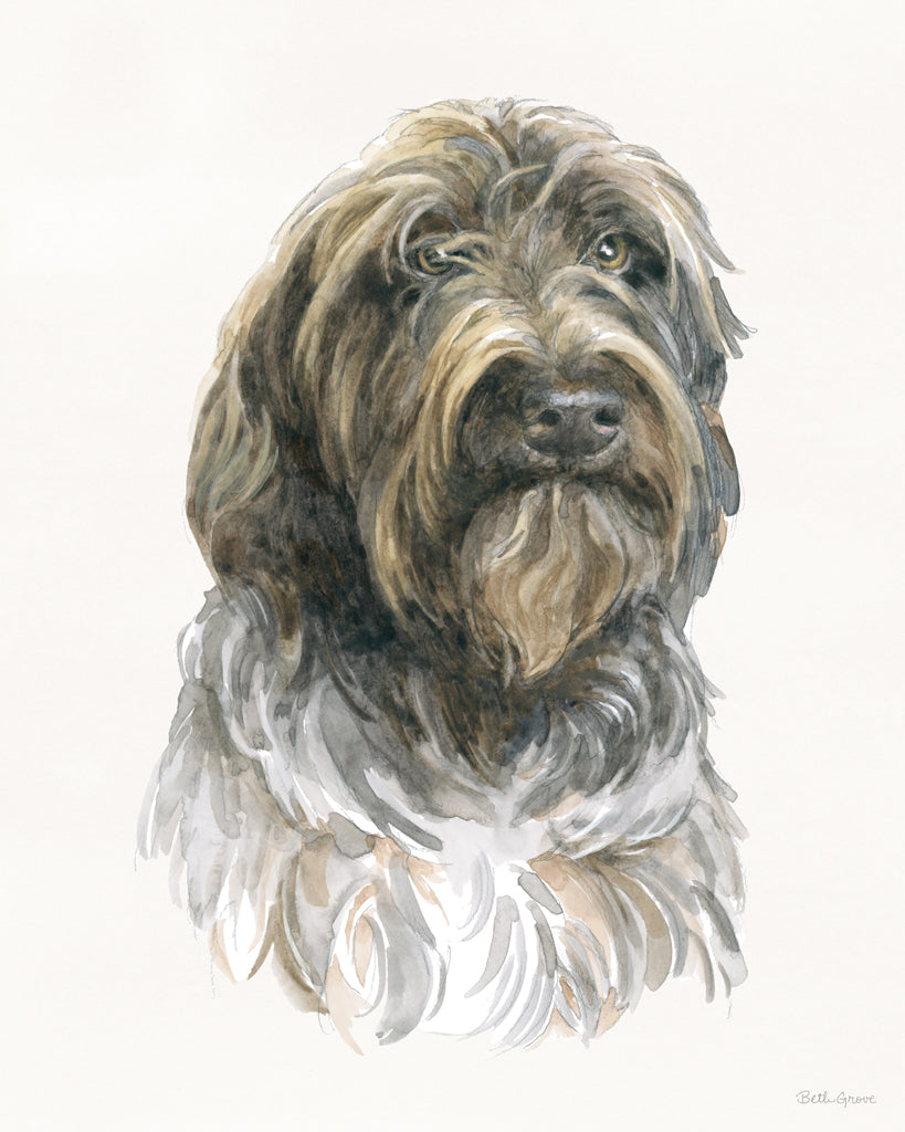 Reproduction of Hunting Dogs I by Beth Grove - Wall Decor Art