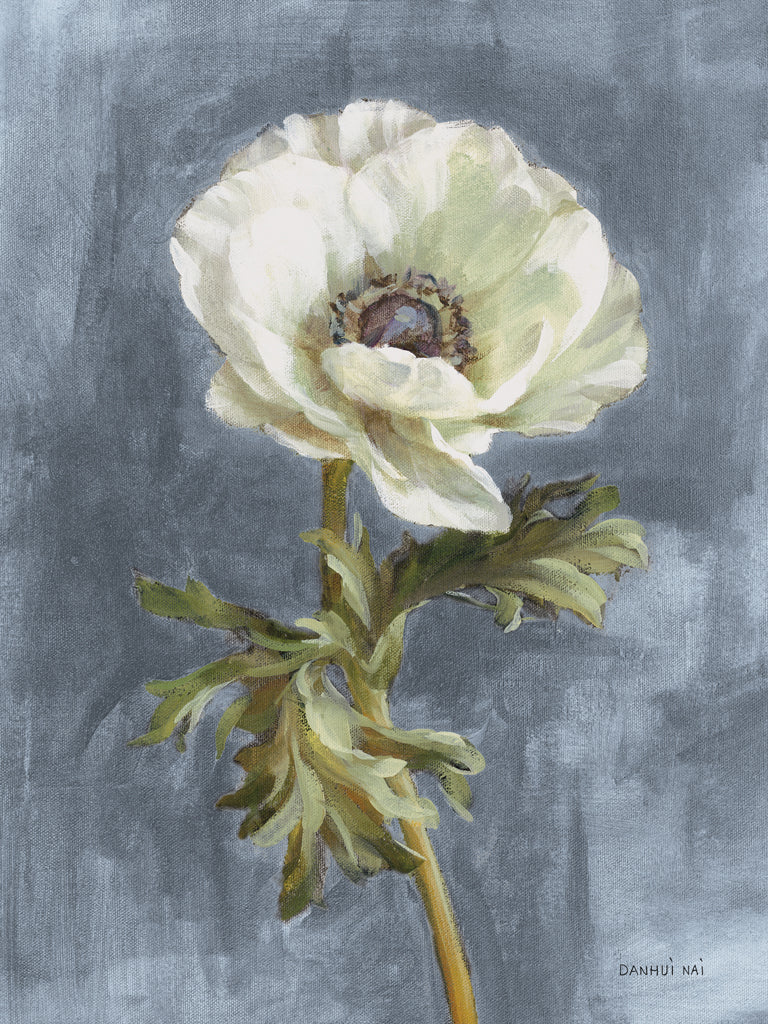 Reproduction of Anemone on Dusty Blue by Danhui Nai - Wall Decor Art