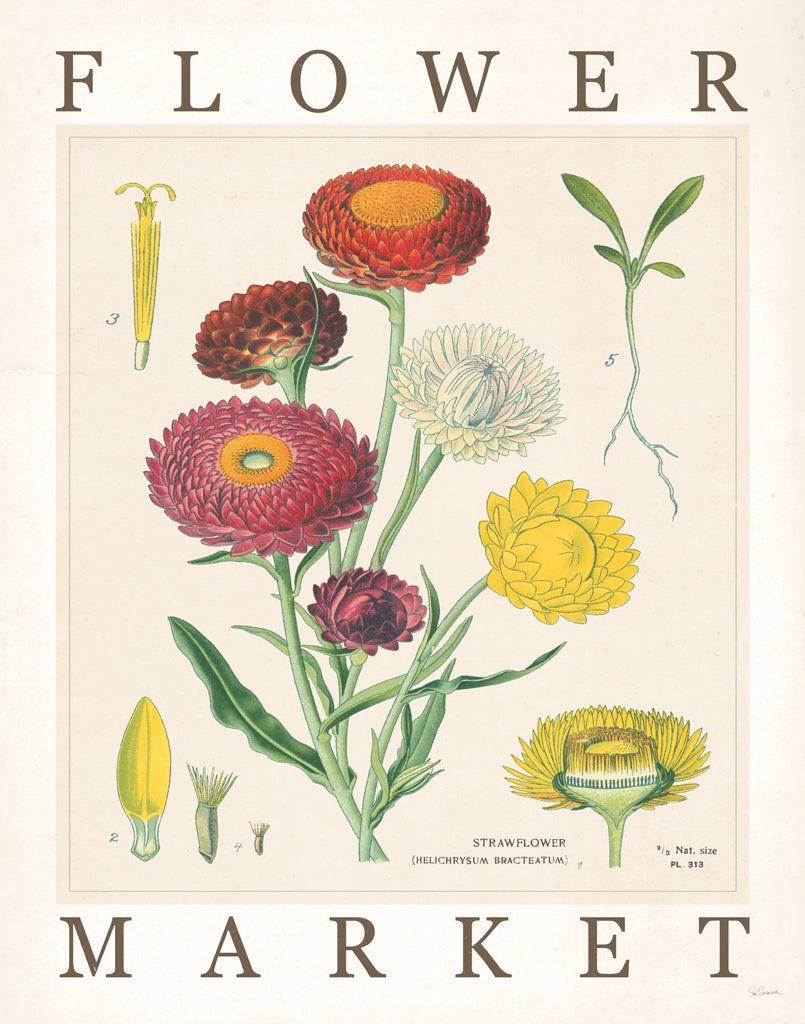 Reproduction of Flower Market Chart I by Sue Schlabach - Wall Decor Art
