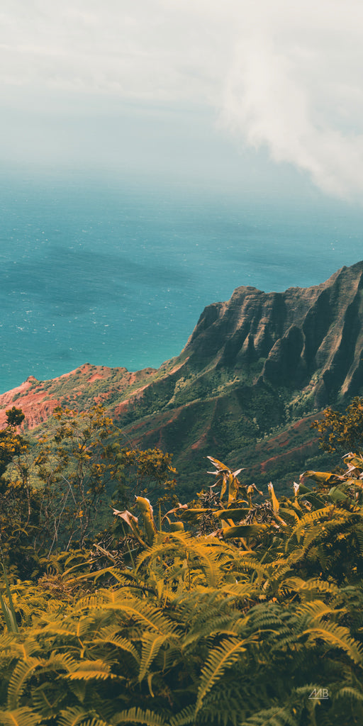 Reproduction of Hawaiian View by Max Blakesberg Studios - Wall Decor Art