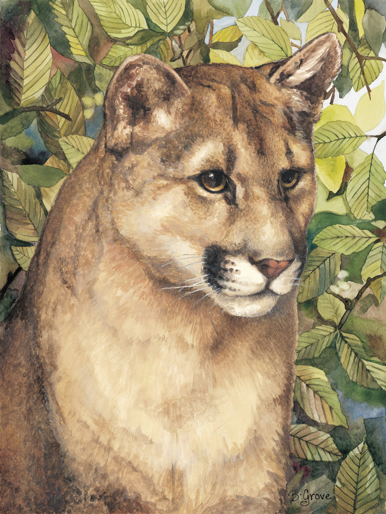 Reproduction of Cougar by Beth Grove - Wall Decor Art