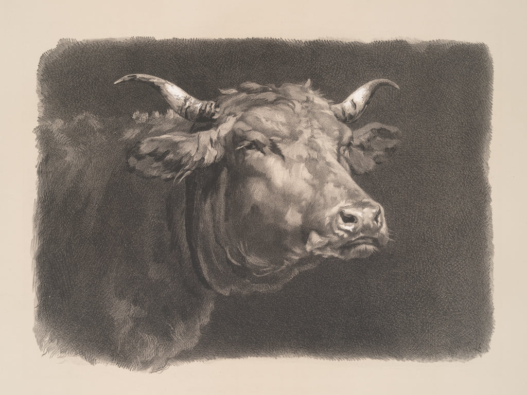 Reproduction of Farm Sketch I by Wild Apple Portfolio - Wall Decor Art