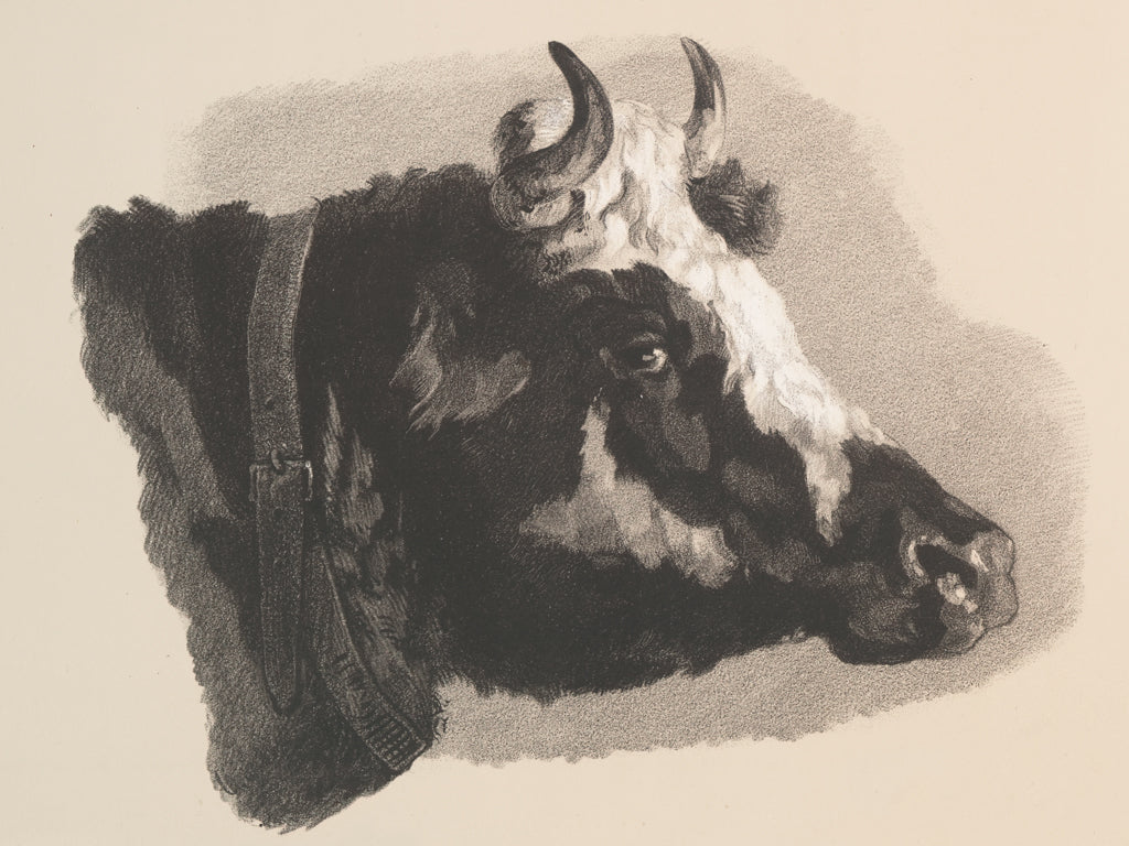 Reproduction of Farm Sketch II by Wild Apple Portfolio - Wall Decor Art