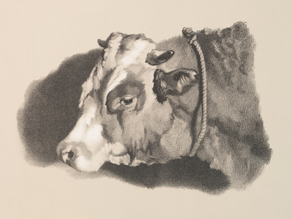 Reproduction of Farm Sketch III by Wild Apple Portfolio - Wall Decor Art