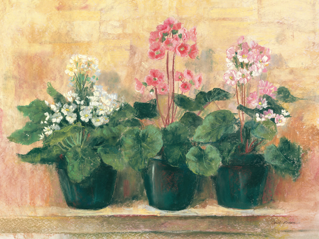 Reproduction of Primula by Carol Rowan - Wall Decor Art