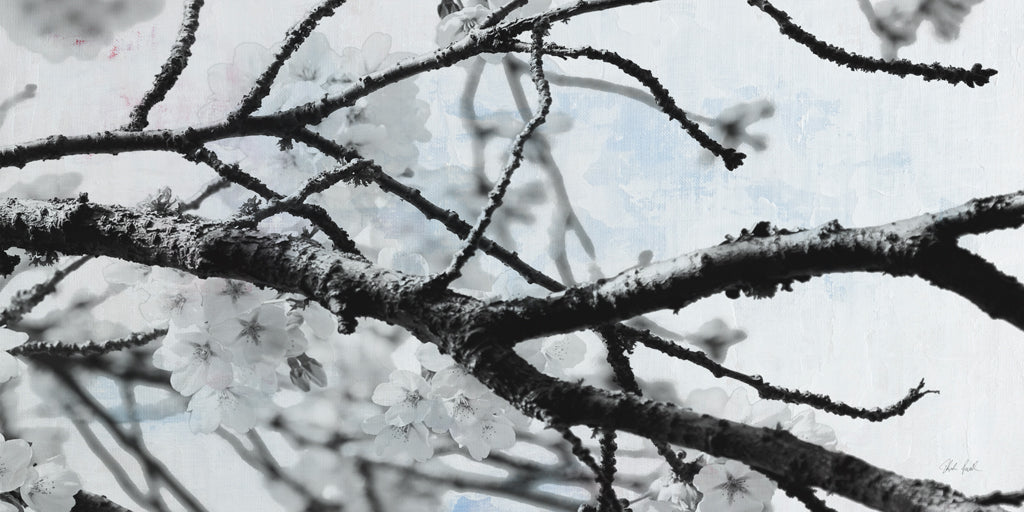 Reproduction of Cherry Blossom Branch by Deborah Revell - Wall Decor Art
