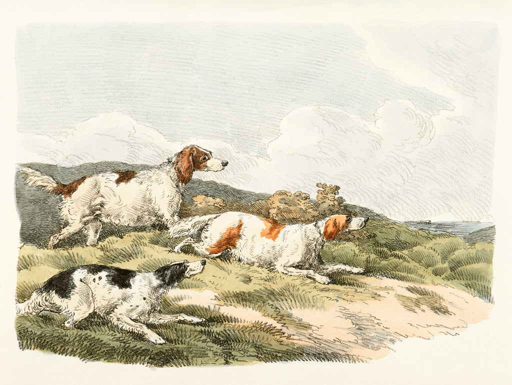 Reproduction of Illustration of of Running Hounds by Public Domain - Wall Decor Art