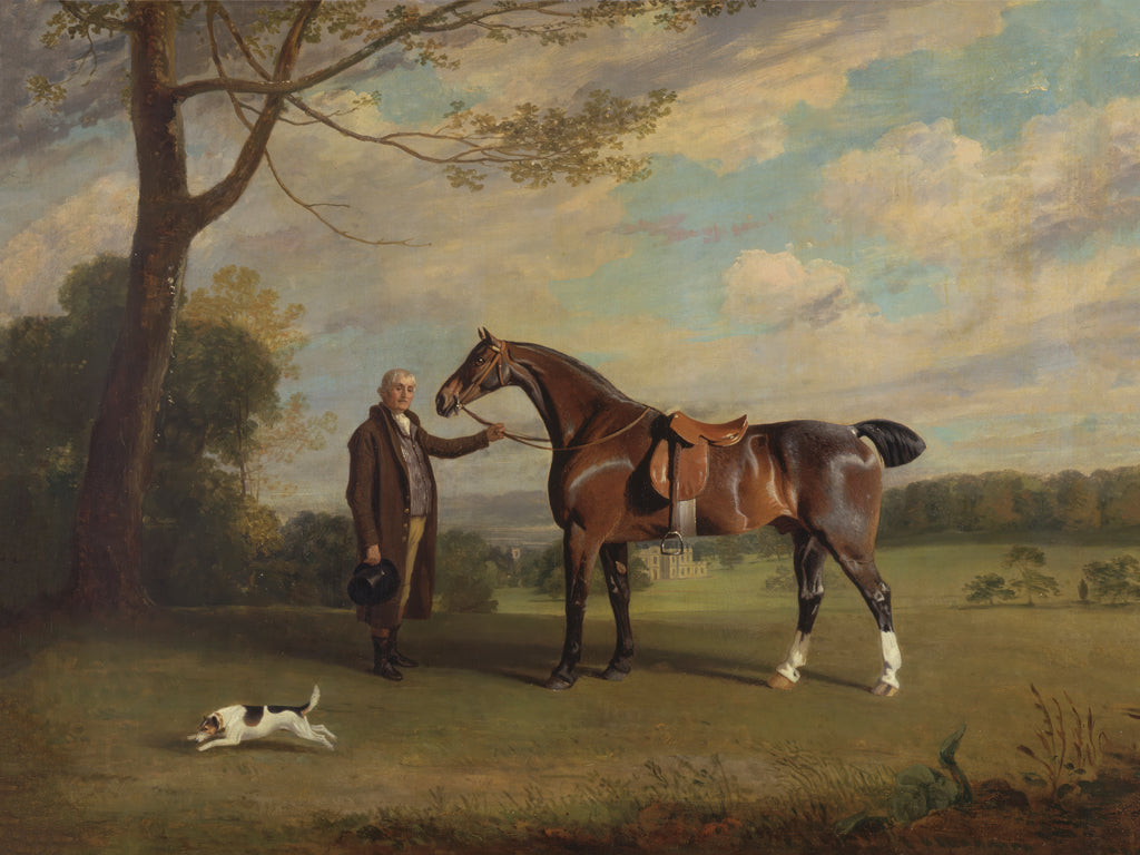 Reproduction of The Earl of Shrewsburys Groom Holding a Hunter by Public Domain - Wall Decor Art