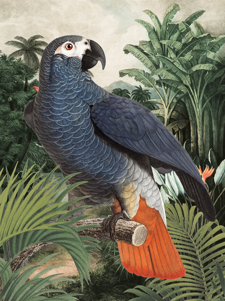 Reproduction of Jungle Parrot I by Wild Apple Portfolio - Wall Decor Art