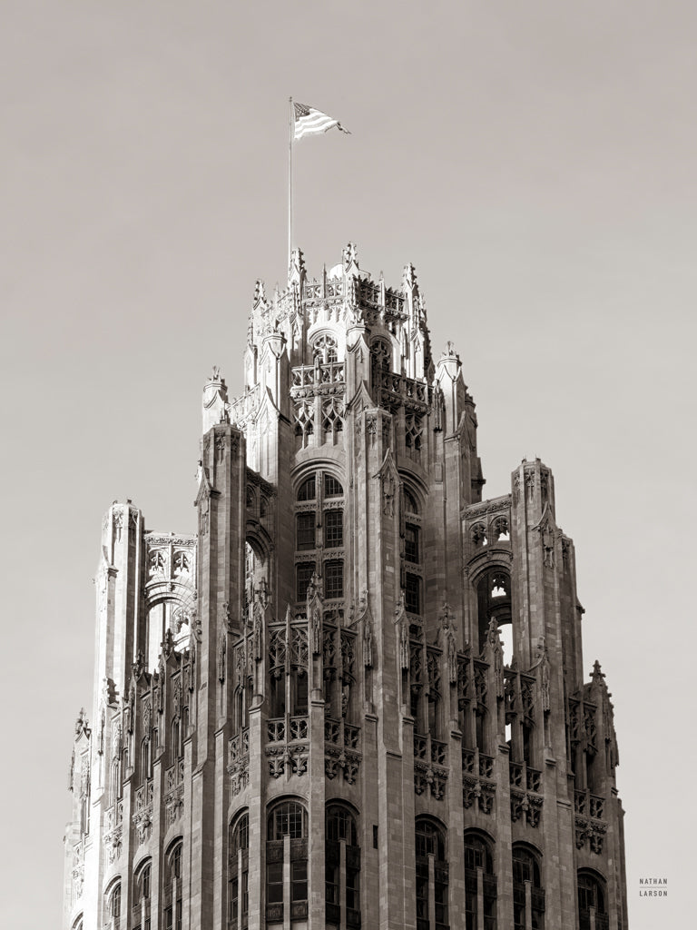 Reproduction of Chicago Skyline VIII by Nathan Larson - Wall Decor Art