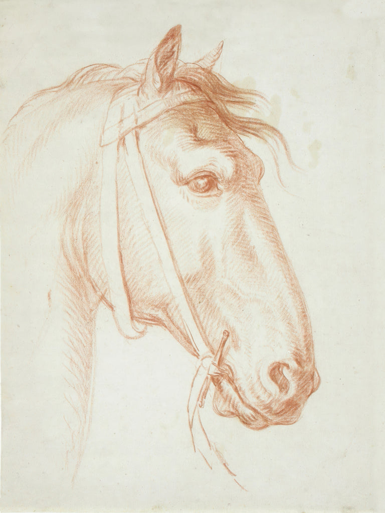 Reproduction of Horses Head by Public Domain - Wall Decor Art