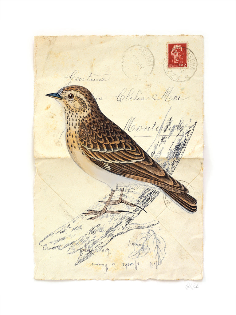 Reproduction of Wood Lark by Deborah Revell - Wall Decor Art