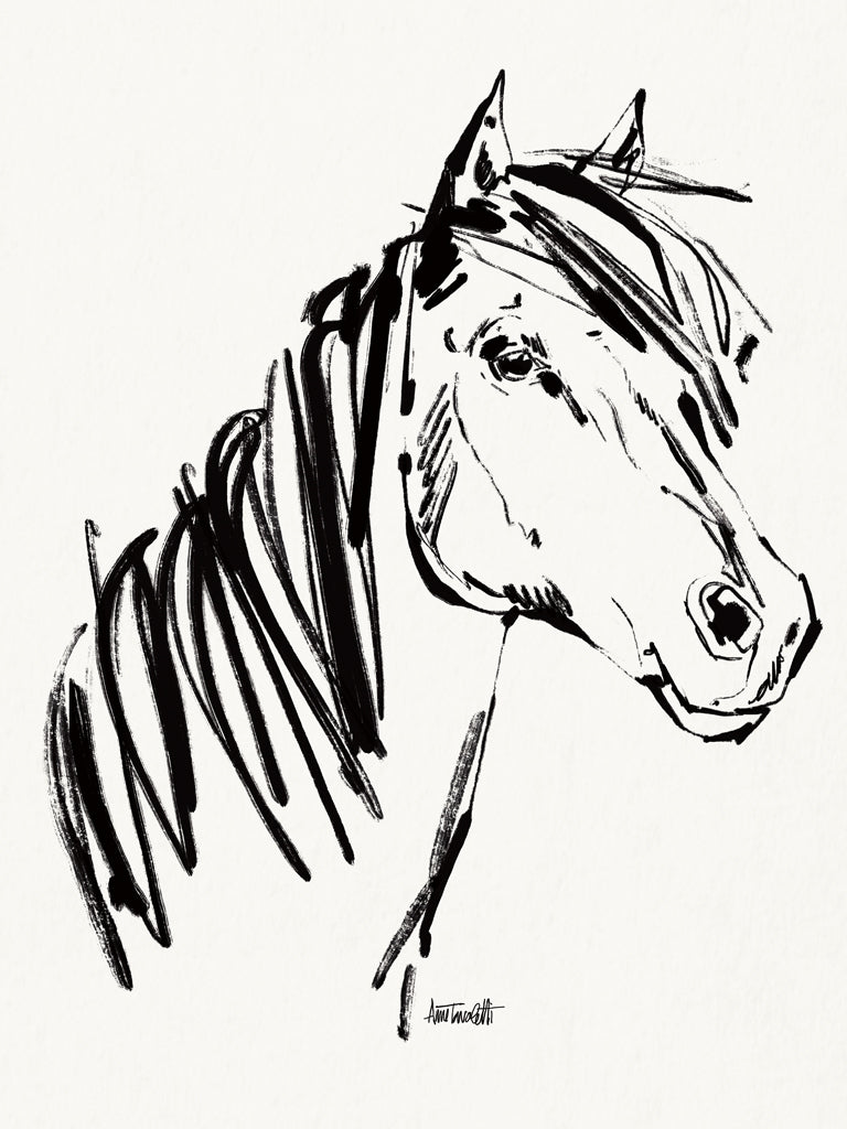 Reproduction of Horse Portrait Sketch by Anne Tavoletti - Wall Decor Art