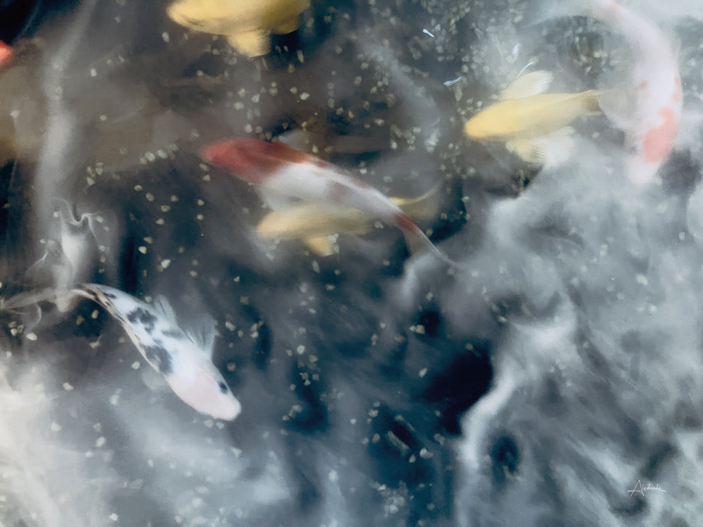 Reproduction of Dream Lake I by Aledanda - Wall Decor Art