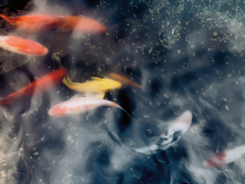 Reproduction of Dream Lake II by Aledanda - Wall Decor Art