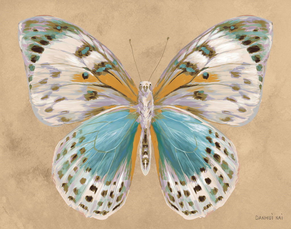 Reproduction of Beetles and Butterflies IV v2 by Danhui Nai - Wall Decor Art