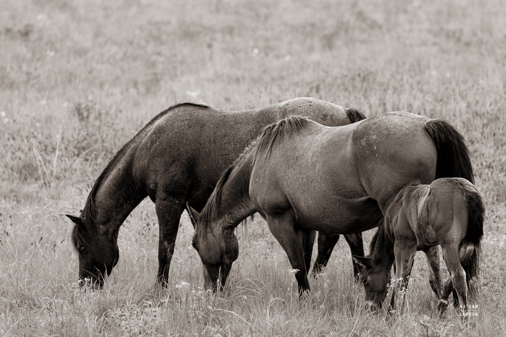 Reproduction of Together by Nathan Larson - Wall Decor Art