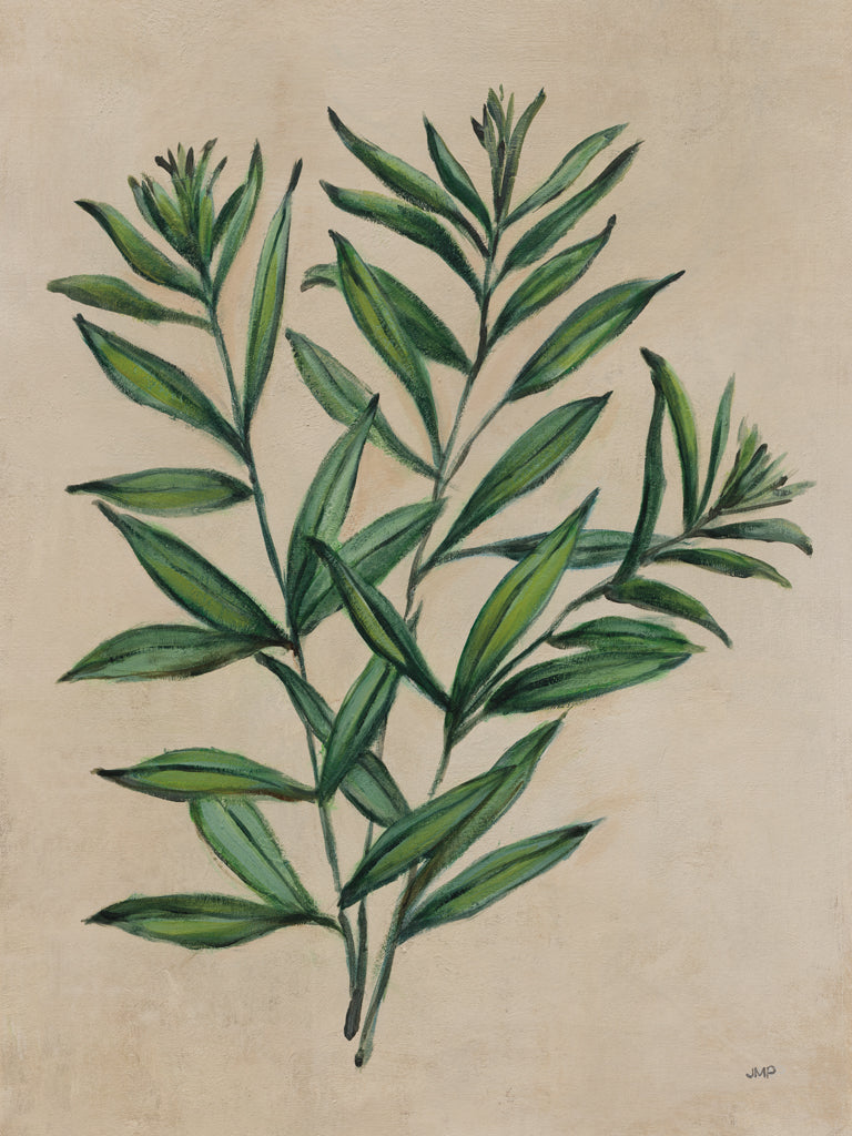 Reproduction of Herbal IV by Julia Purinton - Wall Decor Art