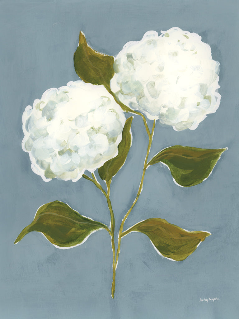 Reproduction of Dusty Blue Hydrangea I by Haley Knighten - Wall Decor Art