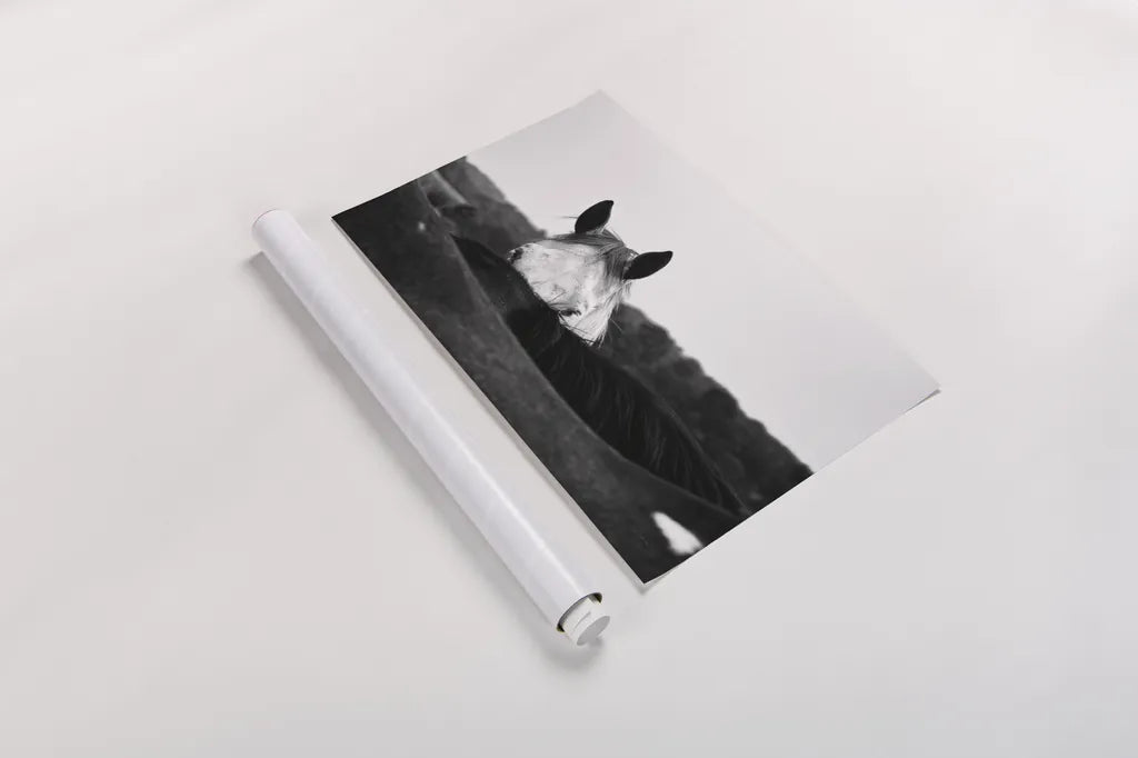 Flirt by Aledanda. shown as a rolled paper print. Available as archival giclee rolled canvas, fine art paper, or poster print. SKU 38301i.