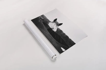 Flirt by Aledanda. shown as a rolled paper print. Available as archival giclee rolled canvas, fine art paper, or poster print. SKU 38301i.