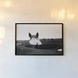 Flirt by Aledanda. shown as a paper print in a black flame. Available as a archival giclee rolled canvas, fine art paper, or poster print. SKU 38301i.
