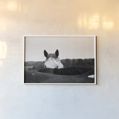 Flirt by Aledanda. shown as a paper print in a white frame. Available as a archival giclee rolled canvas, fine art paper, or poster print. SKU 38301i.