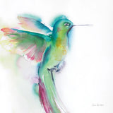 Hummingbirds II by Aimee Del Valle. SKU 67720a. Archival Giclee Fine art print for wall decor.