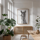 Le Cheval Noir by Aimee Del Valle. shown as a print in a natural wood frame in a dining room. Available as a archival giclee rolled canvas, fine art paper, or poster print. SKU 45779h.