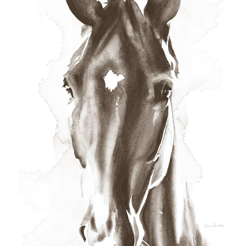 Le Cheval Noir Brown Crop by Aimee Del Valle. SKU 48164a. Archival Giclee Fine art print for wall decor.