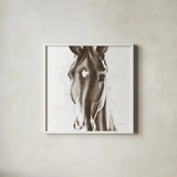 Le Cheval Noir Brown Crop by Aimee Del Valle. Shown in a crisp white glass frame for a clean and minimalist style. Available as an archival giclee rolled canvas, fine art paper, or poster print. SKU 48164a.