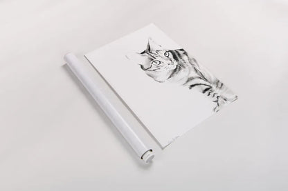 Sadie Crop by Aimee Del Valle. shown as a rolled paper print. Available as archival giclee rolled canvas, fine art paper, or poster print. SKU 45778h.