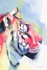 Tiger Portrait by Aimee Del Valle. SKU 79322h. Archival Giclee Fine art print for wall decor.