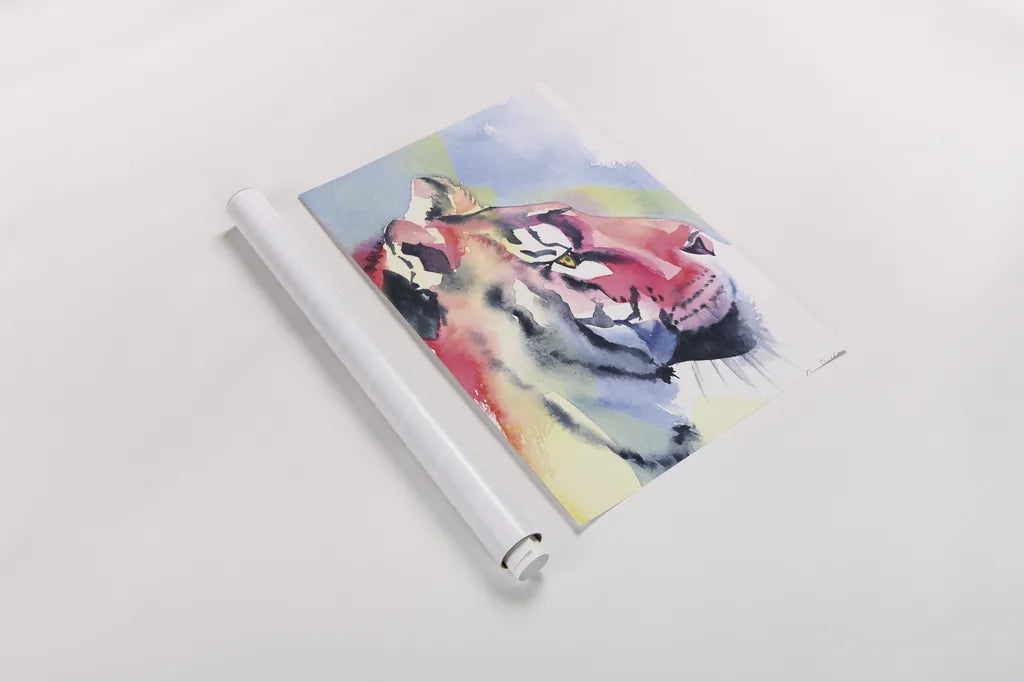 Tiger Portrait by Aimee Del Valle. shown as a rolled paper print. Available as archival giclee rolled canvas, fine art paper, or poster print. SKU 79322h.