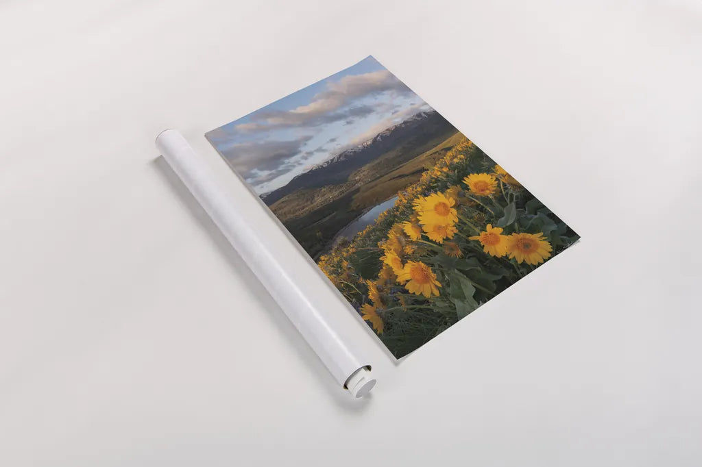 250421 85609 by Alan Majchrowicz. shown as a rolled paper print. Available as archival giclee rolled canvas, fine art paper, or poster print. SKU 101142h.