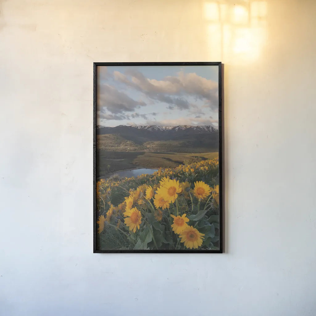 250421 85609 by Alan Majchrowicz. shown as a paper print in a black flame. Available as a archival giclee rolled canvas, fine art paper, or poster print. SKU 101142h.