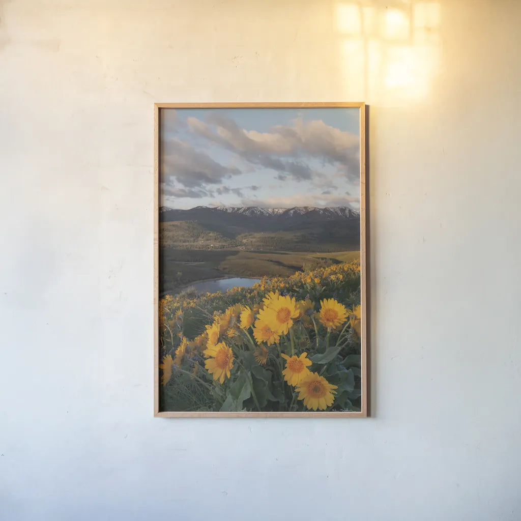 250421 85609 by Alan Majchrowicz. shown as a paper print in a natural frame. Available as a archival giclee rolled canvas, fine art paper, or poster print. SKU 101142h.