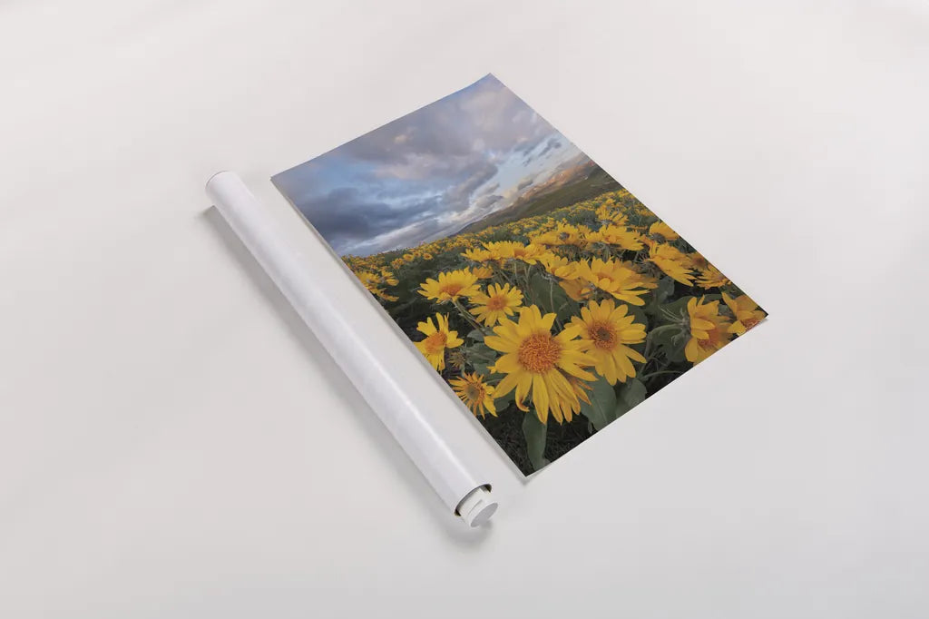 250421 85661 by Alan Majchrowicz. shown as a rolled paper print. Available as archival giclee rolled canvas, fine art paper, or poster print. SKU 101141h.