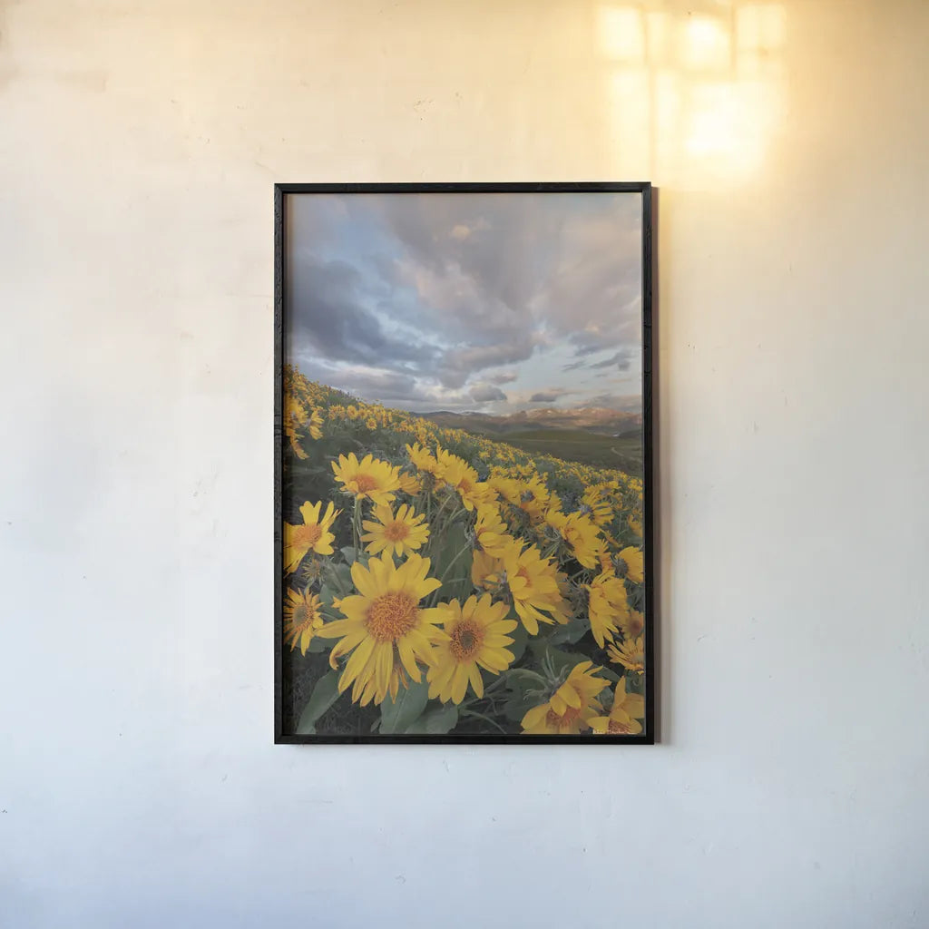 250421 85661 by Alan Majchrowicz. shown as a paper print in a black flame. Available as a archival giclee rolled canvas, fine art paper, or poster print. SKU 101141h.