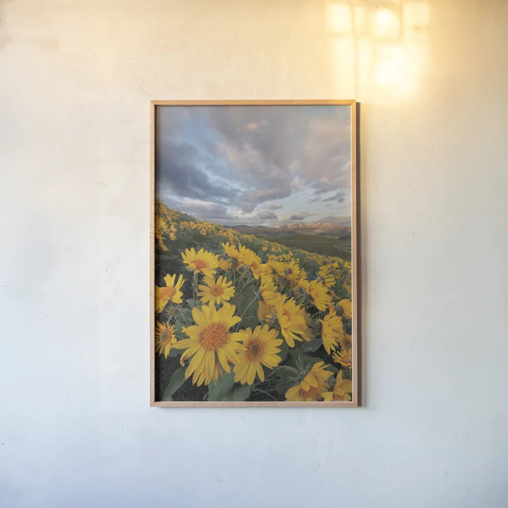 250421 85661 by Alan Majchrowicz. shown as a paper print in a natural frame. Available as a archival giclee rolled canvas, fine art paper, or poster print. SKU 101141h.