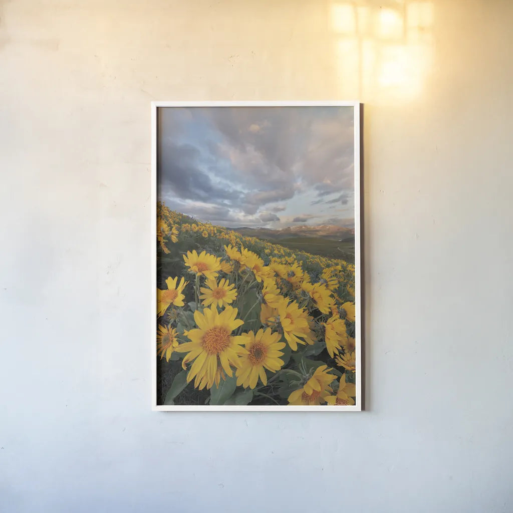 250421 85661 by Alan Majchrowicz. shown as a paper print in a white frame. Available as a archival giclee rolled canvas, fine art paper, or poster print. SKU 101141h.