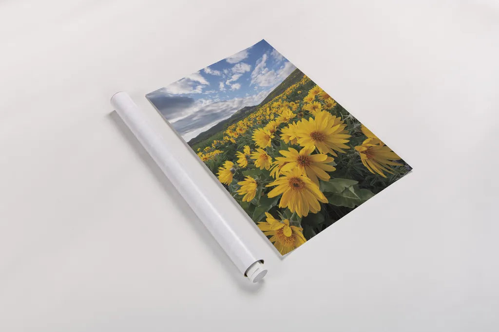 250422 85697 by Alan Majchrowicz. shown as a rolled paper print. Available as archival giclee rolled canvas, fine art paper, or poster print. SKU 101139h.