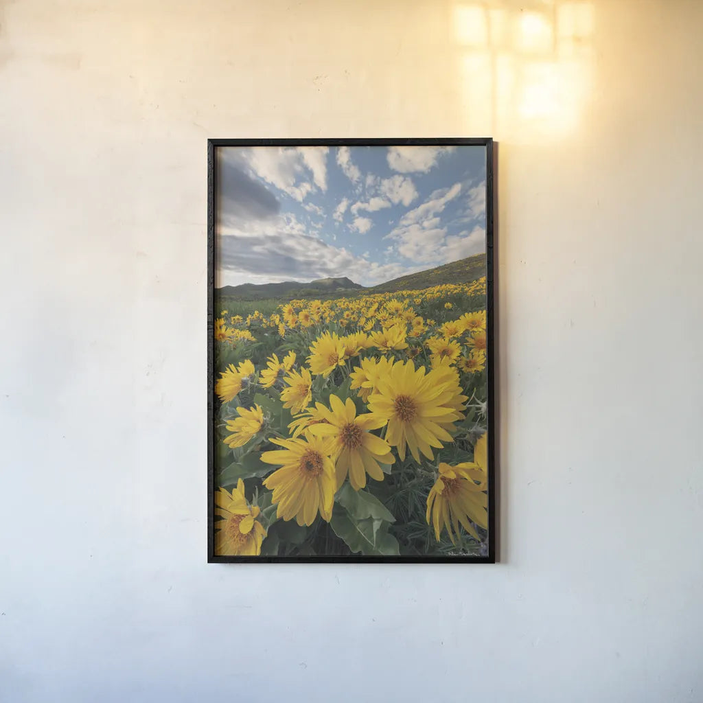 250422 85697 by Alan Majchrowicz. shown as a paper print in a black flame. Available as a archival giclee rolled canvas, fine art paper, or poster print. SKU 101139h.