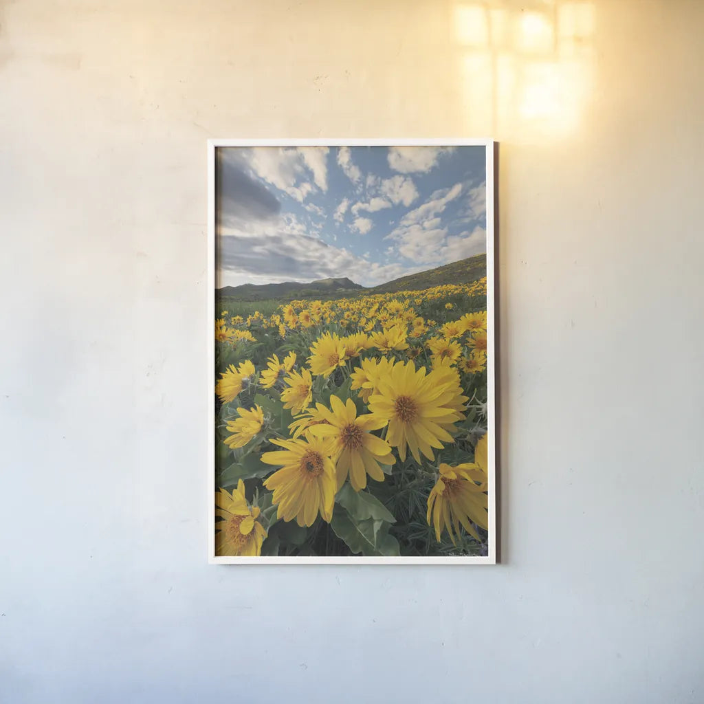 250422 85697 by Alan Majchrowicz. shown as a paper print in a white frame. Available as a archival giclee rolled canvas, fine art paper, or poster print. SKU 101139h.