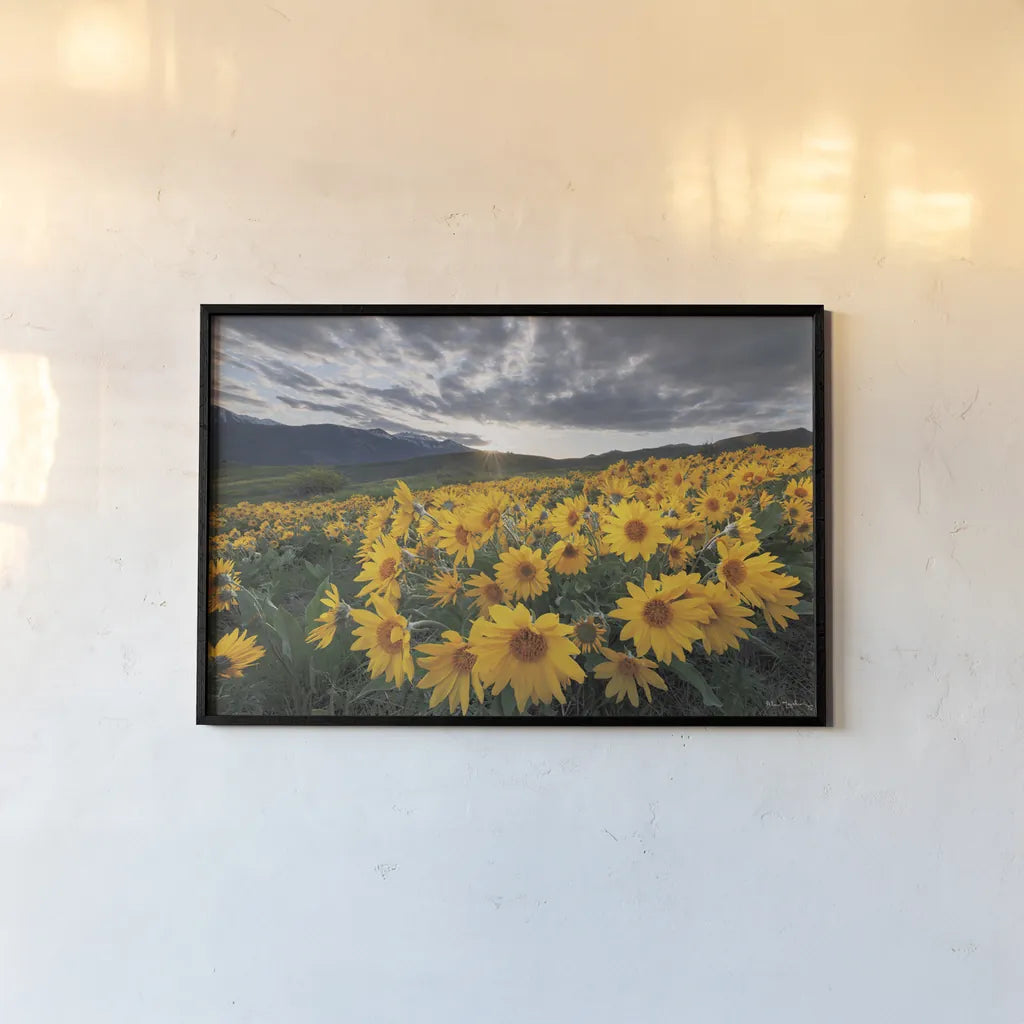 250422 85716 by Alan Majchrowicz. shown as a paper print in a black flame. Available as a archival giclee rolled canvas, fine art paper, or poster print. SKU 101138i.